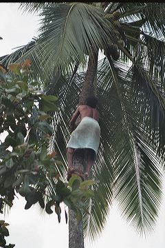 imm022_14_00.jpg